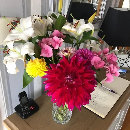 Seacrest 4* 戈尔韦