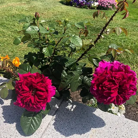 Couette-café Seacrest 4*