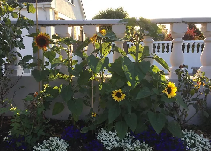 Seacrest Bed & Breakfast Galway