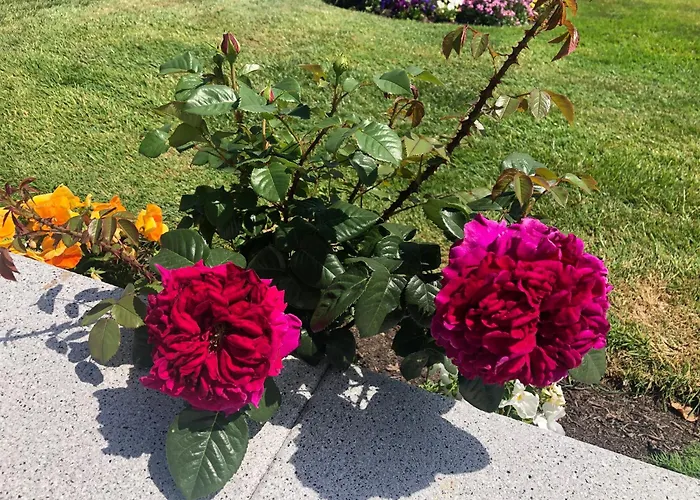 לינה וארוחת בוקר Seacrest 4*