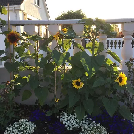 Seacrest Bed & Breakfast Galway