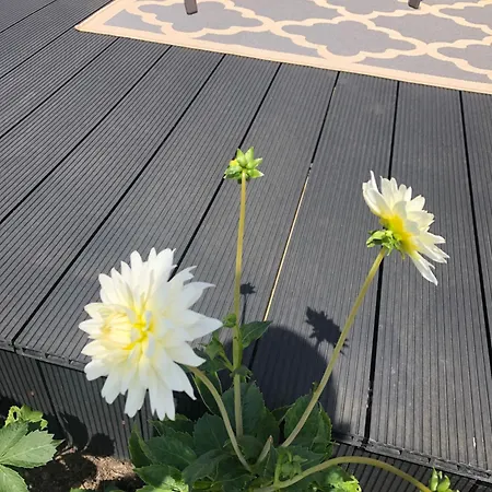 Seacrest Bed & Breakfast 4*