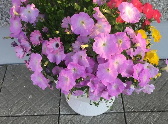 Seacrest Отель типа 