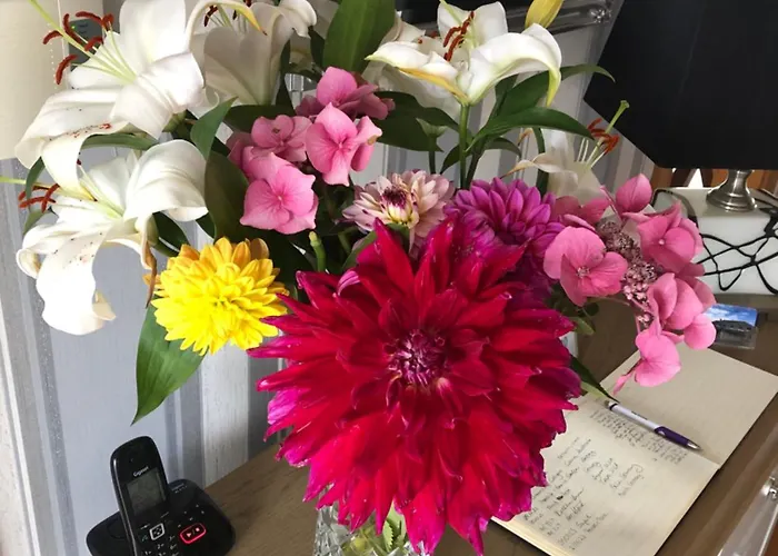 Seacrest 4* Голуэй